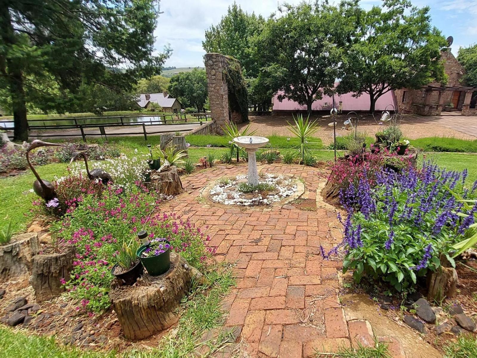 Photo 7