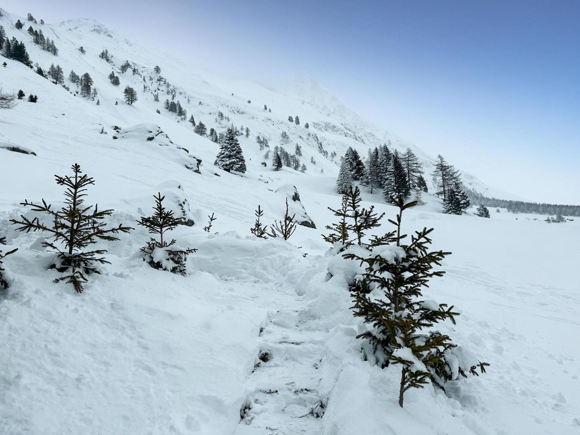 Chalet le Basset - Keys to Paradise in the Alps