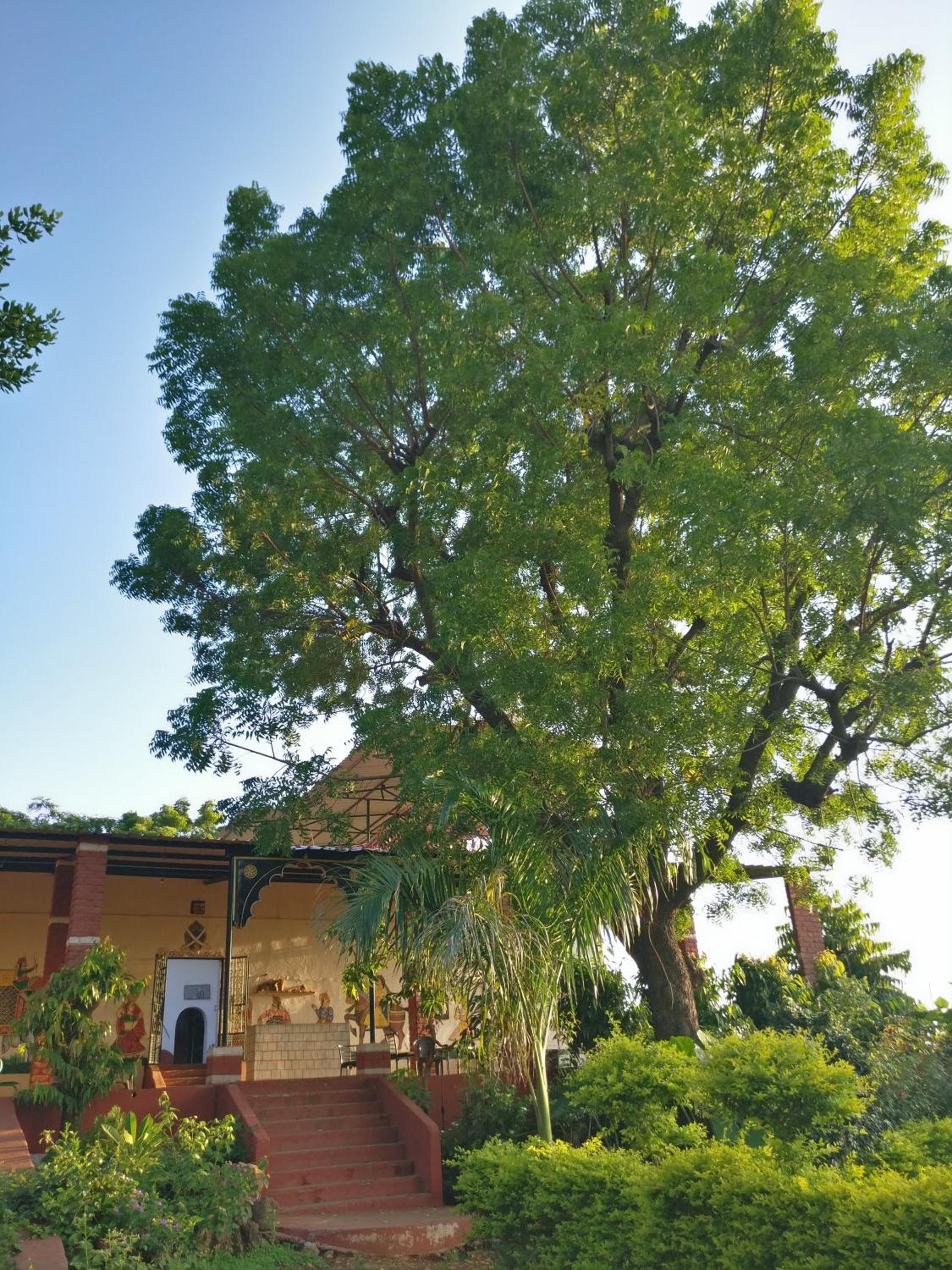 Haveli Zorawar view 2
