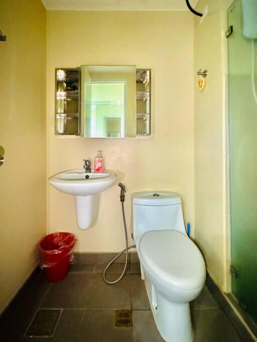 * *C2 Simple and Affordable view 4