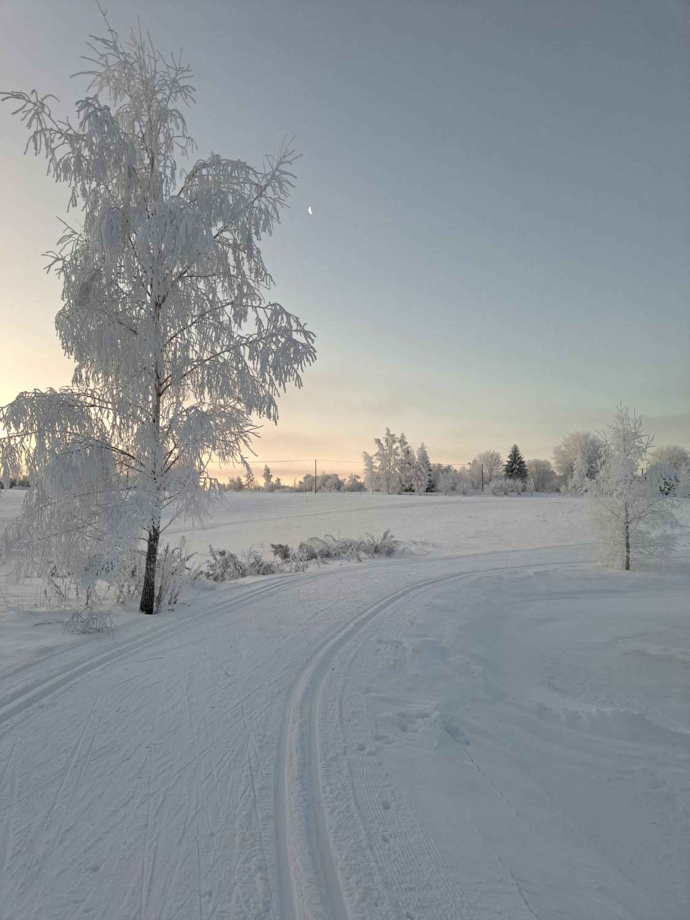 Photo 46