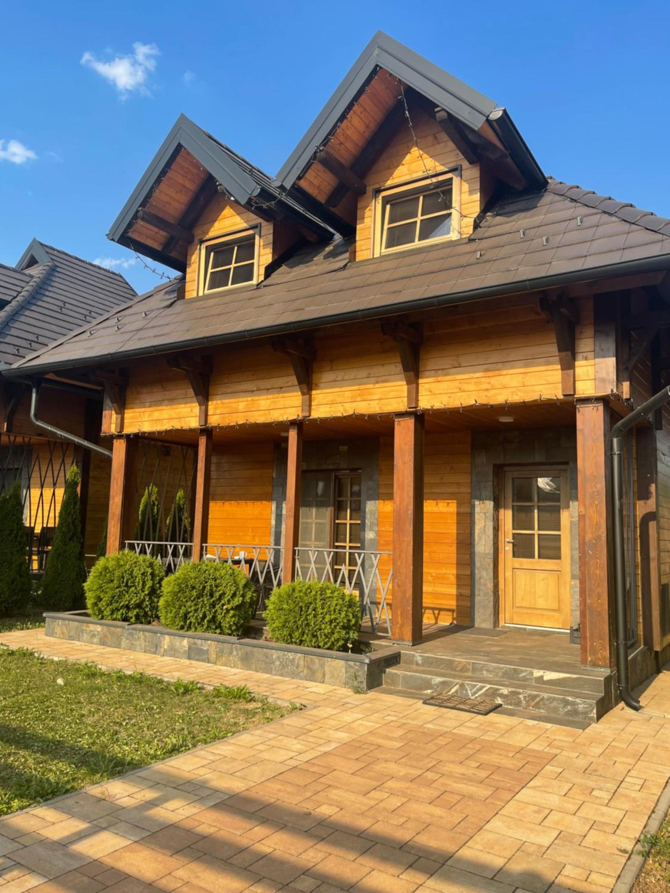 Mountain Villa Zlatibor view 2
