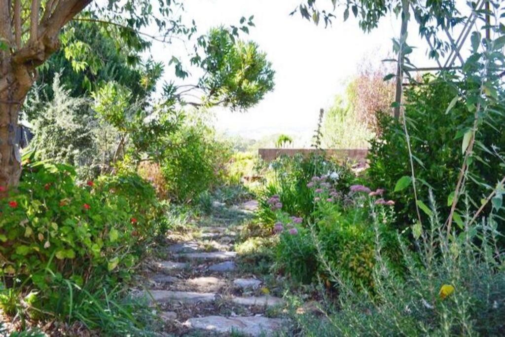 Blackbird Cottage - Stunning views & farm animals