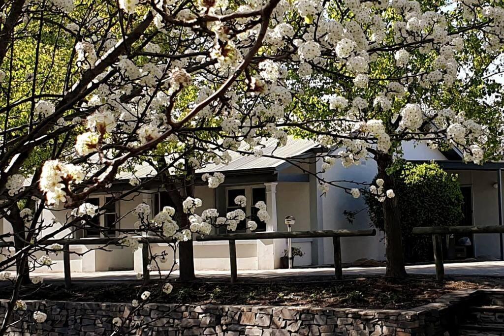 Blackbird Cottage - Stunning views & farm animals