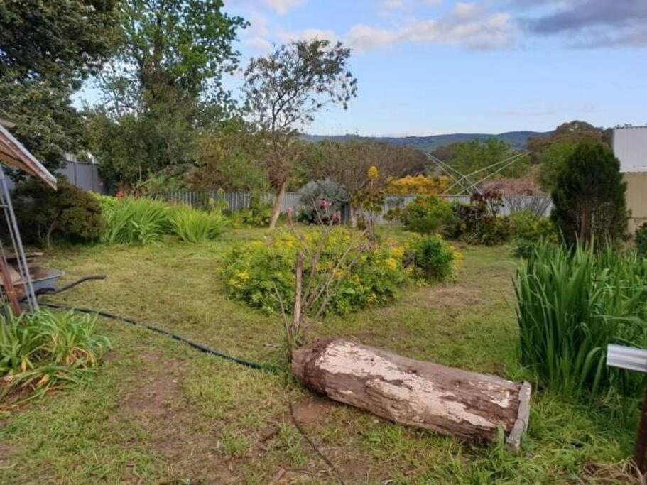 Blackbird Cottage - Stunning views & farm animals