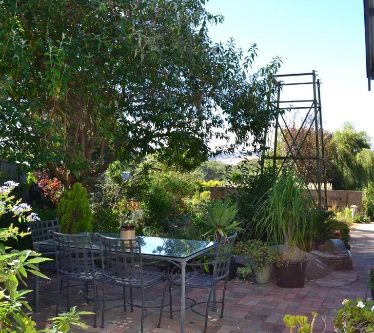 Blackbird Cottage - Stunning views & farm animals