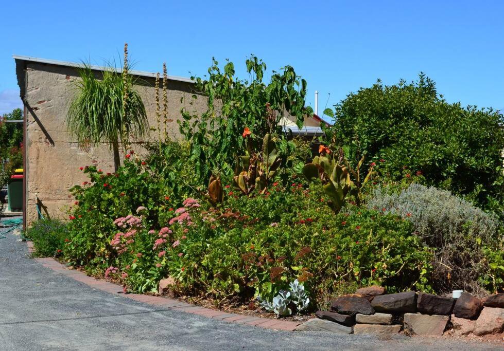 Blackbird Cottage - Stunning views & farm animals