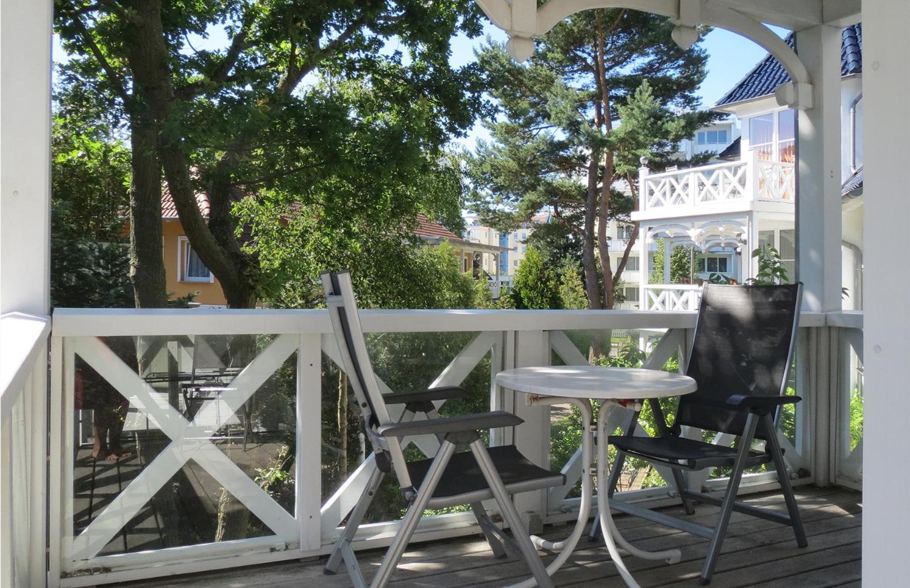 Silbermöwe im Haus Strelasund