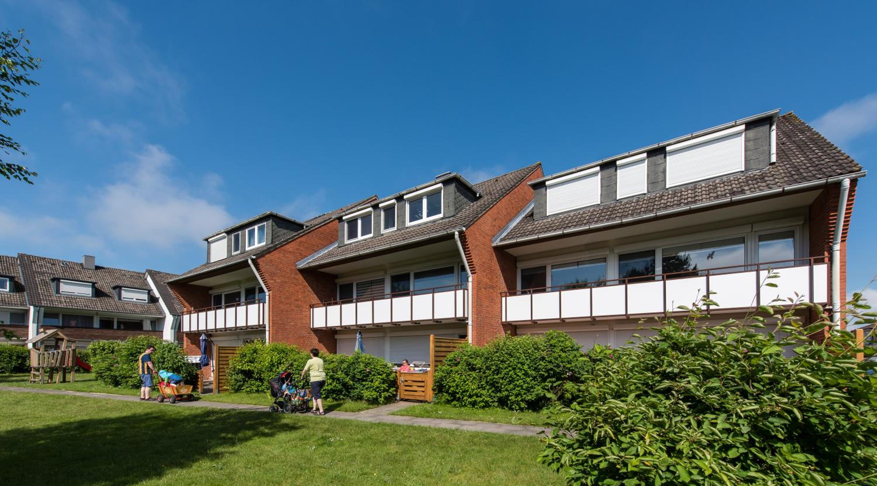 Seeschwalbe