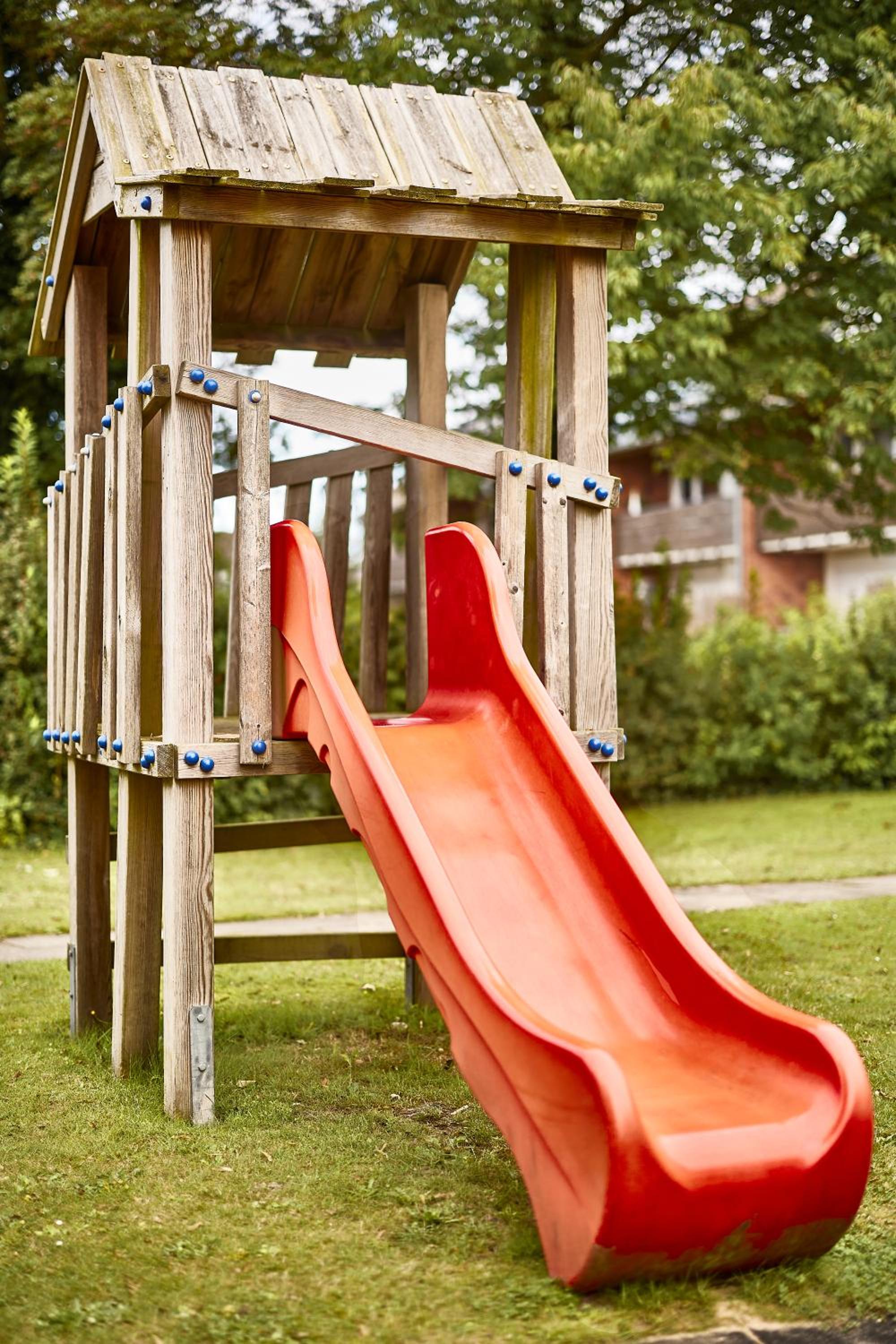 Seeschwalbe