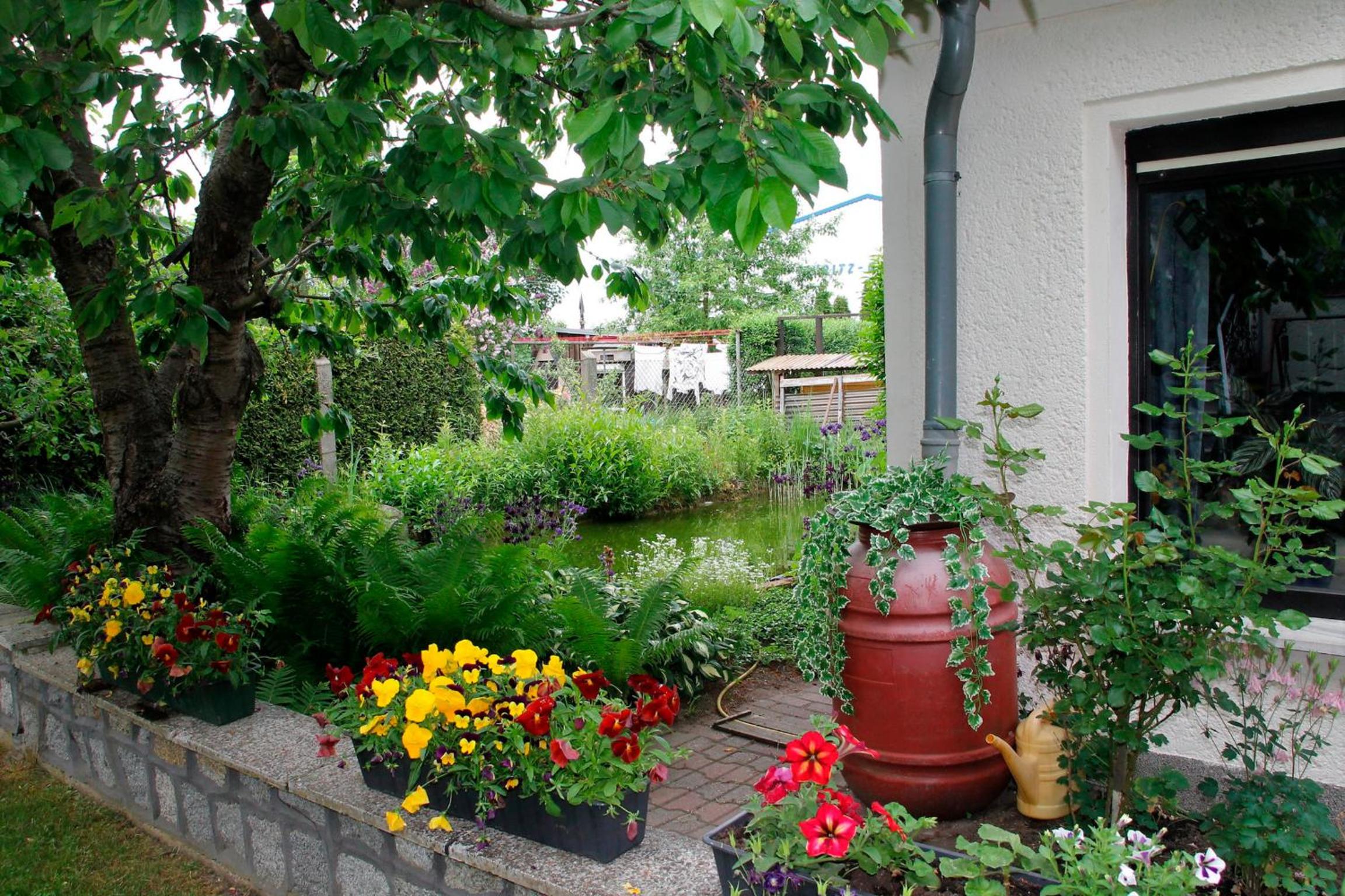 Ferienhaus in Waren Müritz