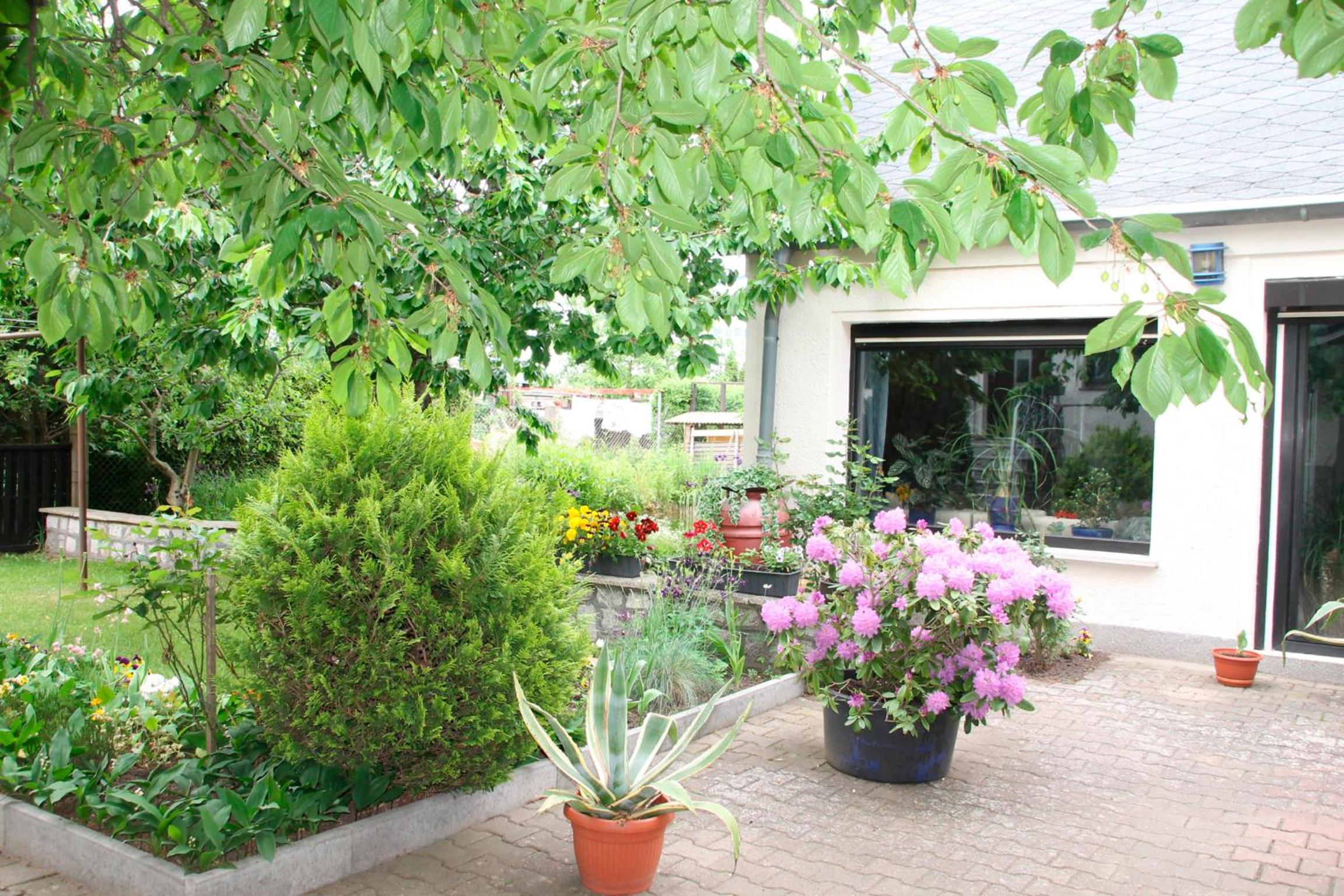 Ferienhaus in Waren Müritz
