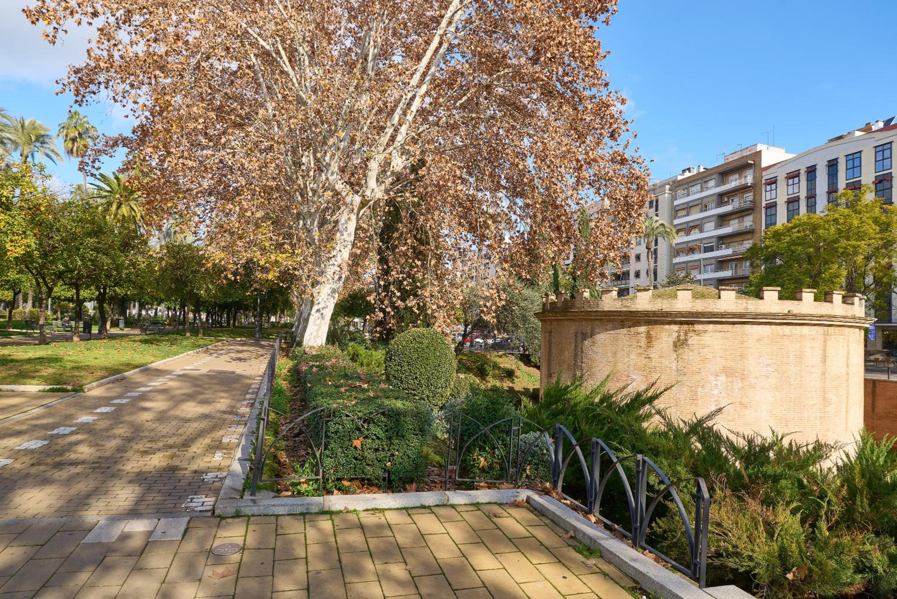 Apartamento Centro Córdoba