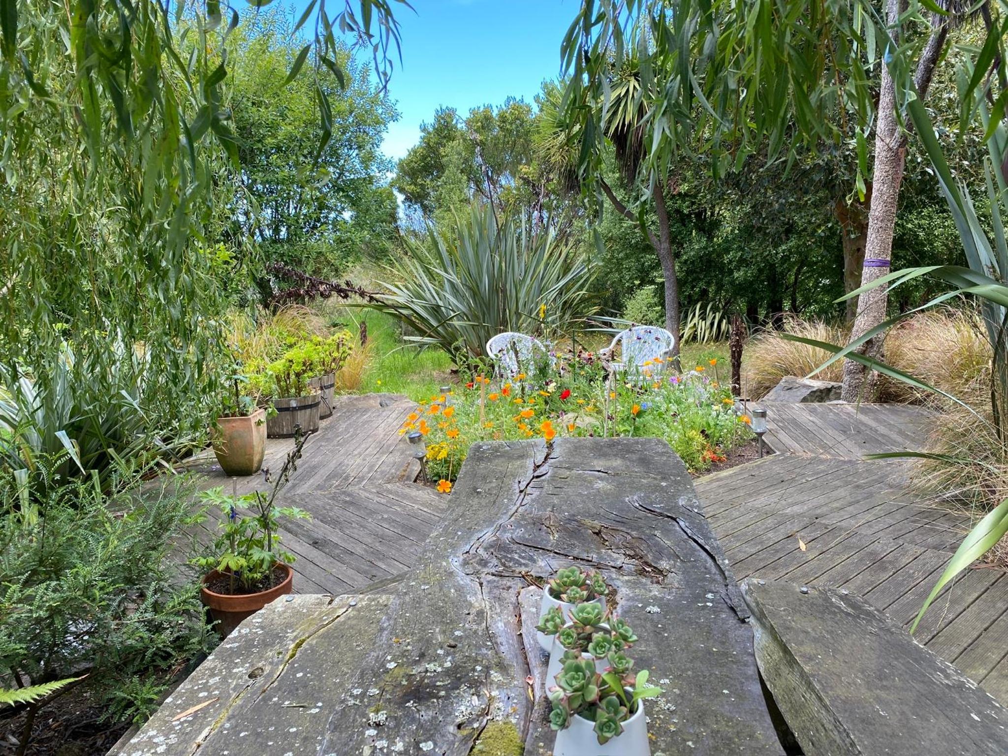 Photo 19