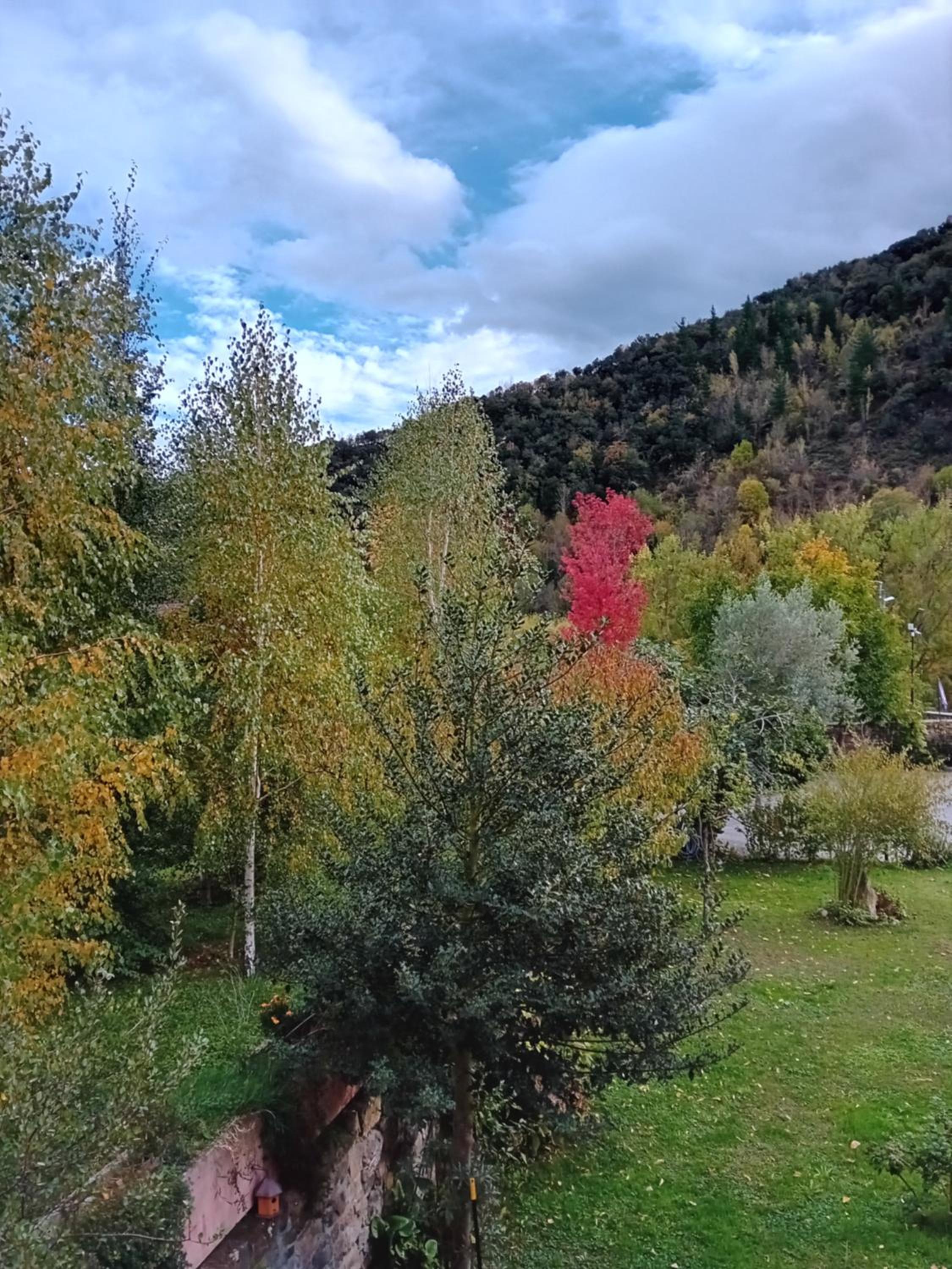 Picos de Europa Suites and Rooms