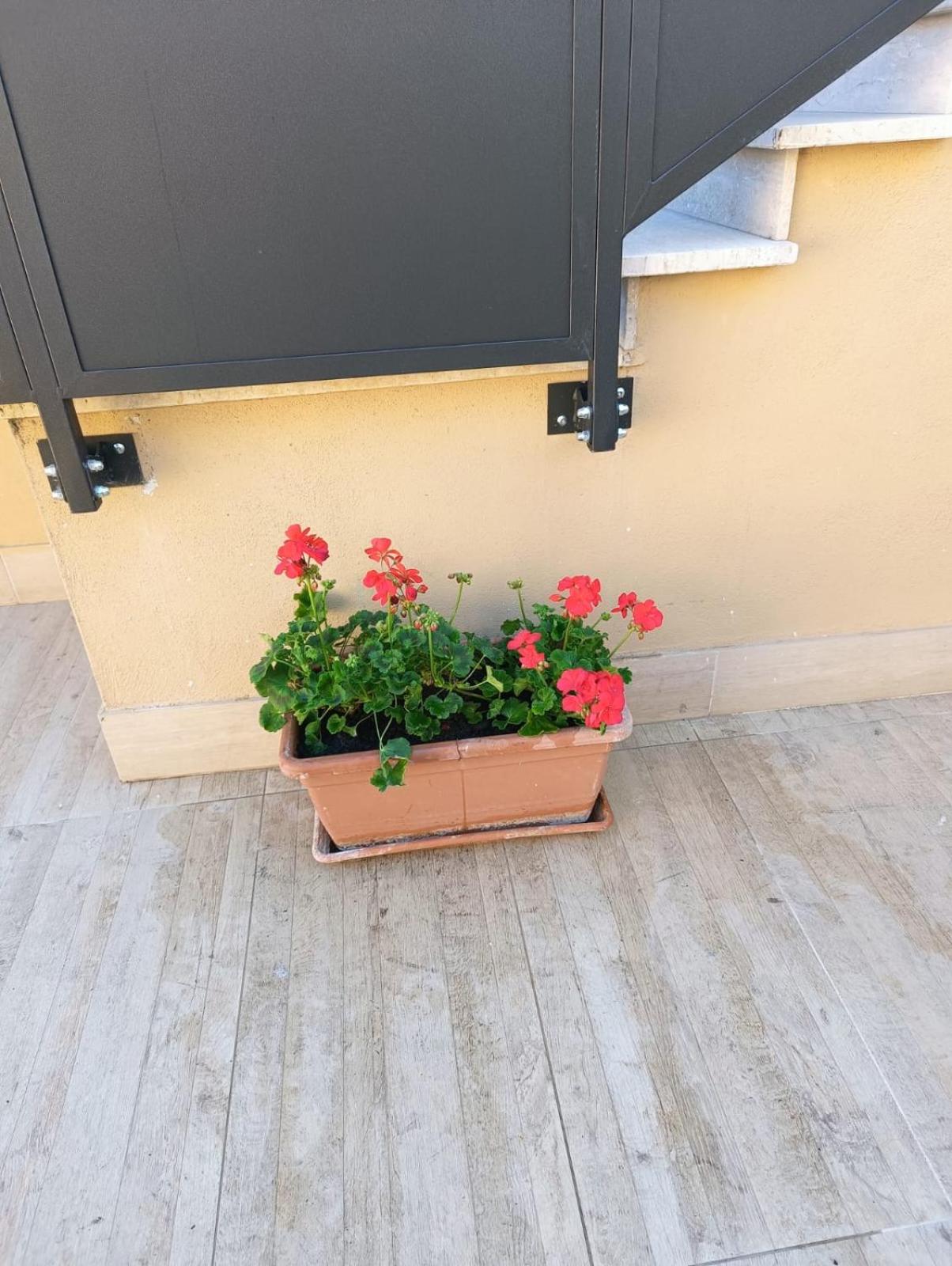 Garden house roma