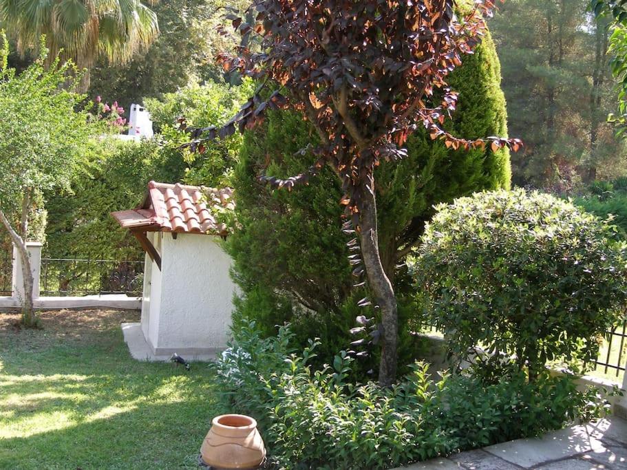 Esperides Villa