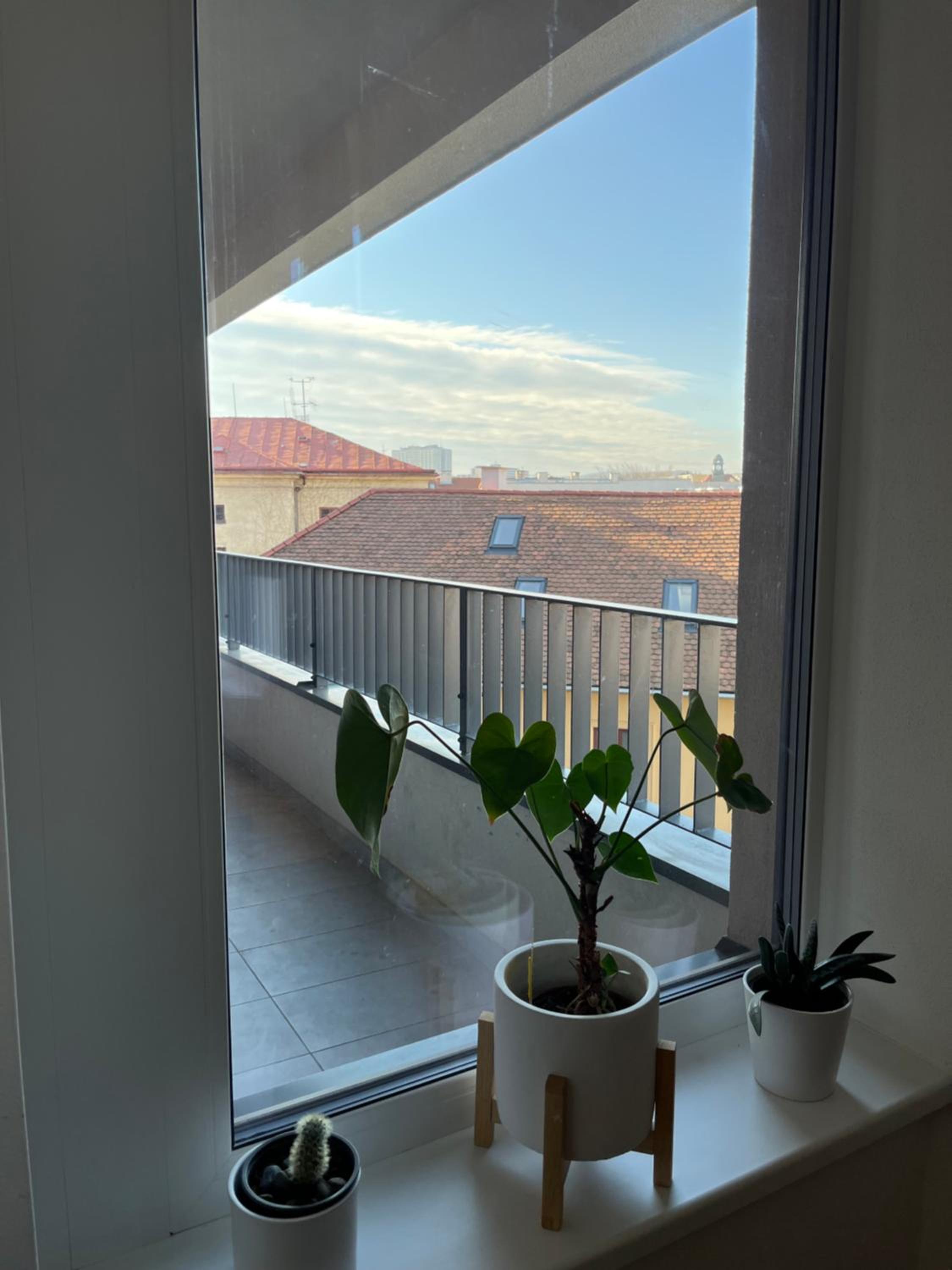 Apartman Usmev