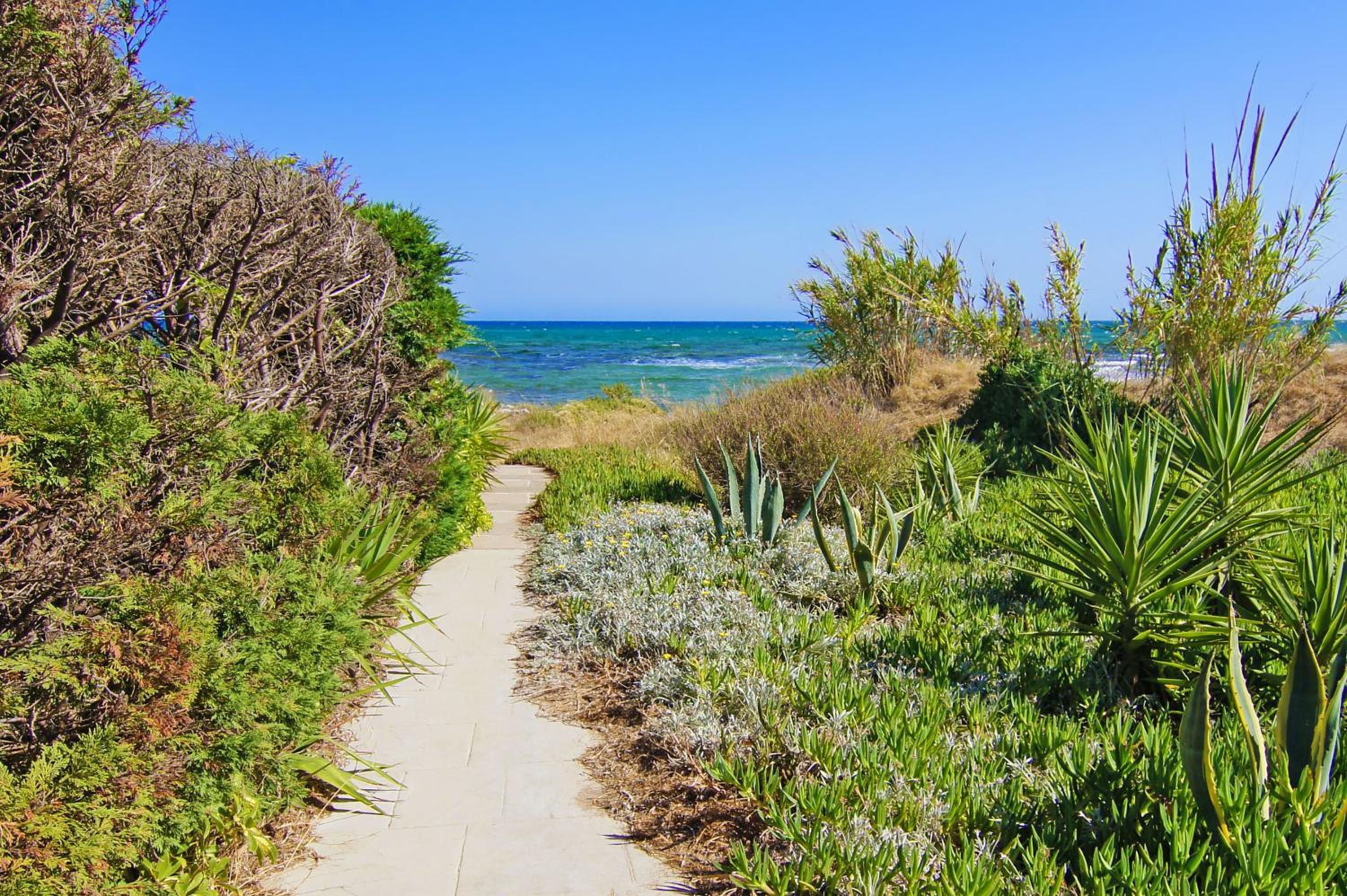 Villa Posidonia - 200m from Sandy Beach