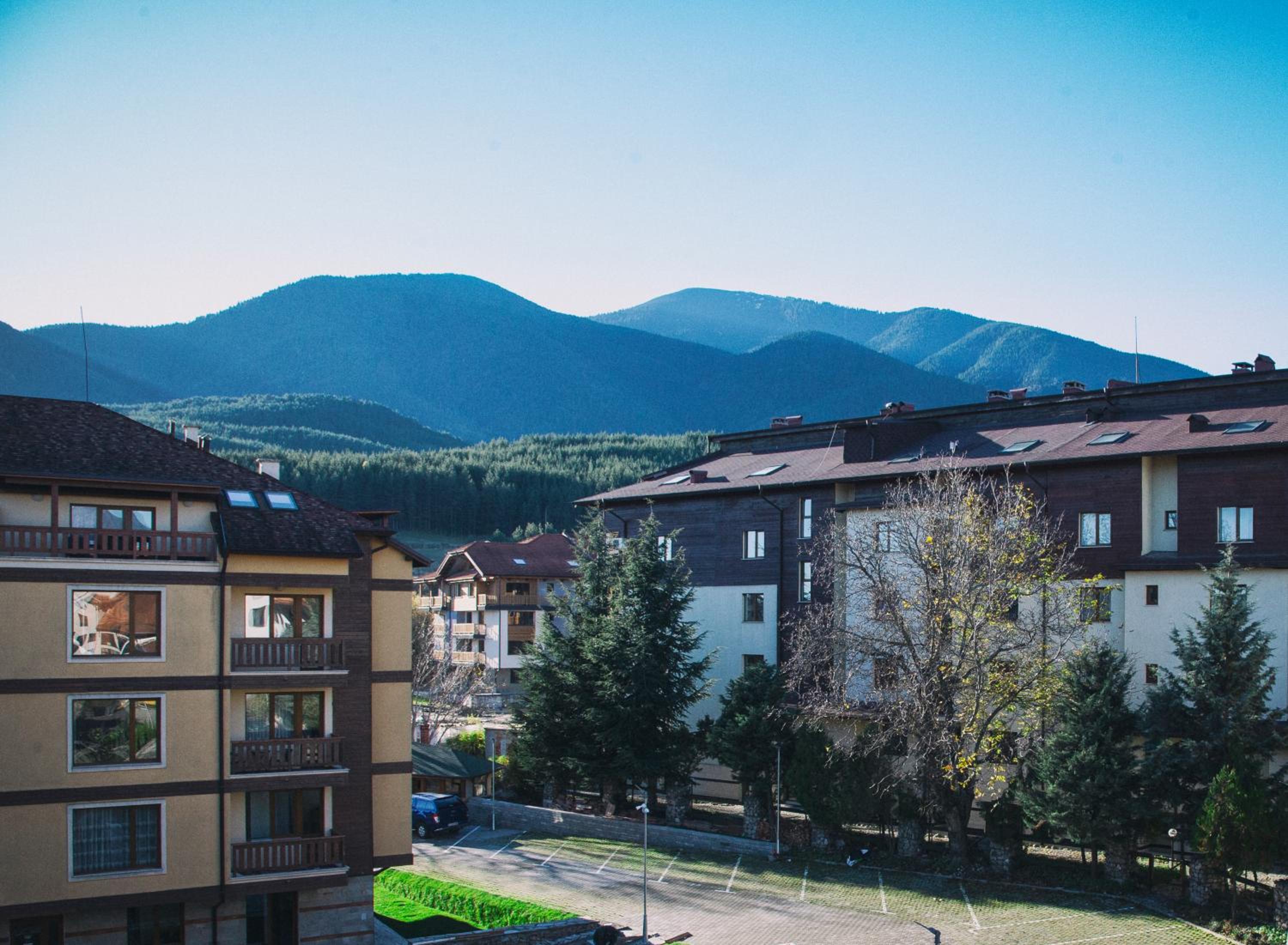 New White Studio F next to Forest the Gondola