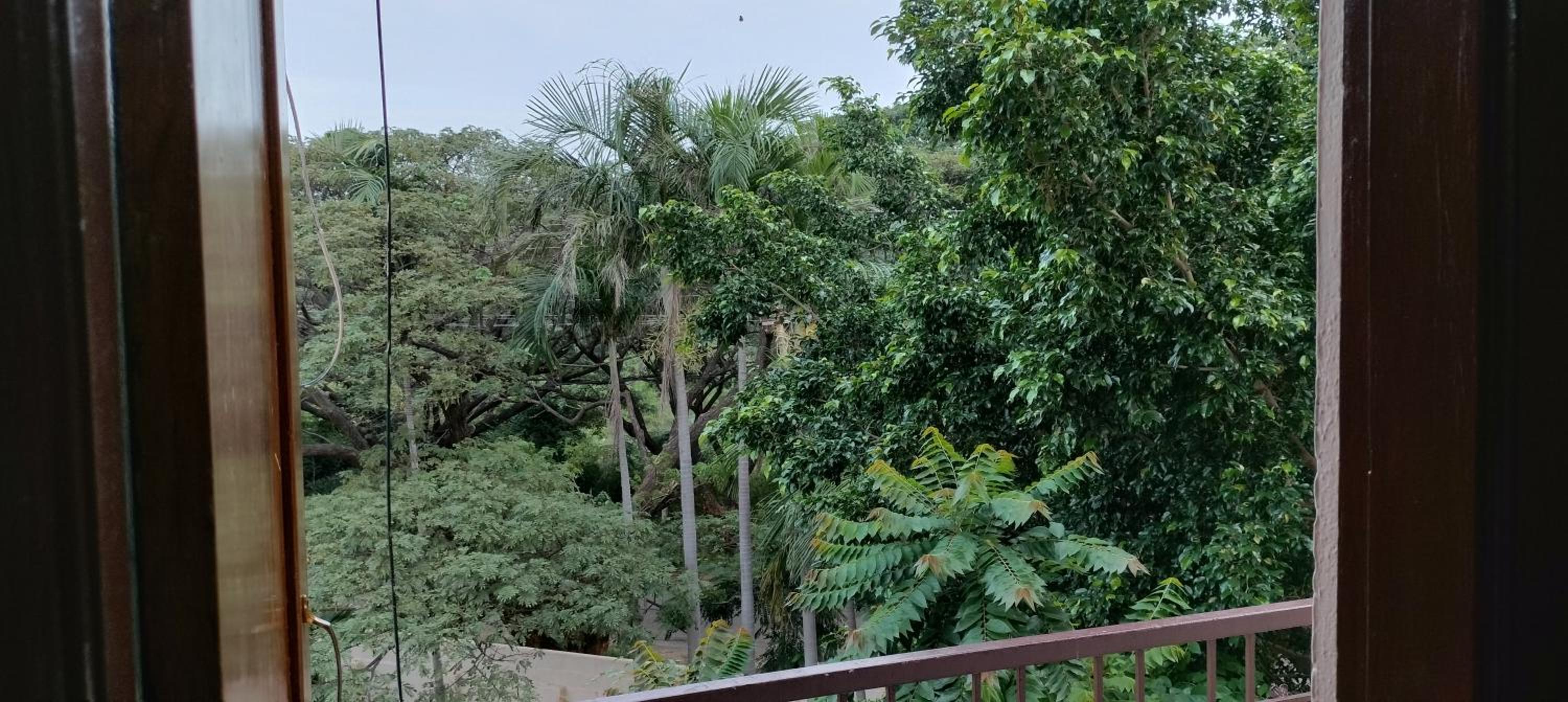RAJA PALACE RESORT & MiNi Hotel