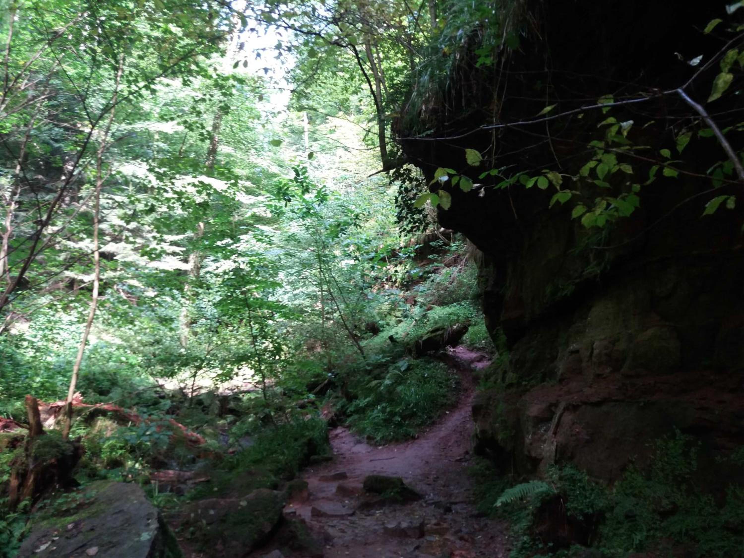 Ferienhaus Robinson Crusoe Schwarzkittelpfad 80