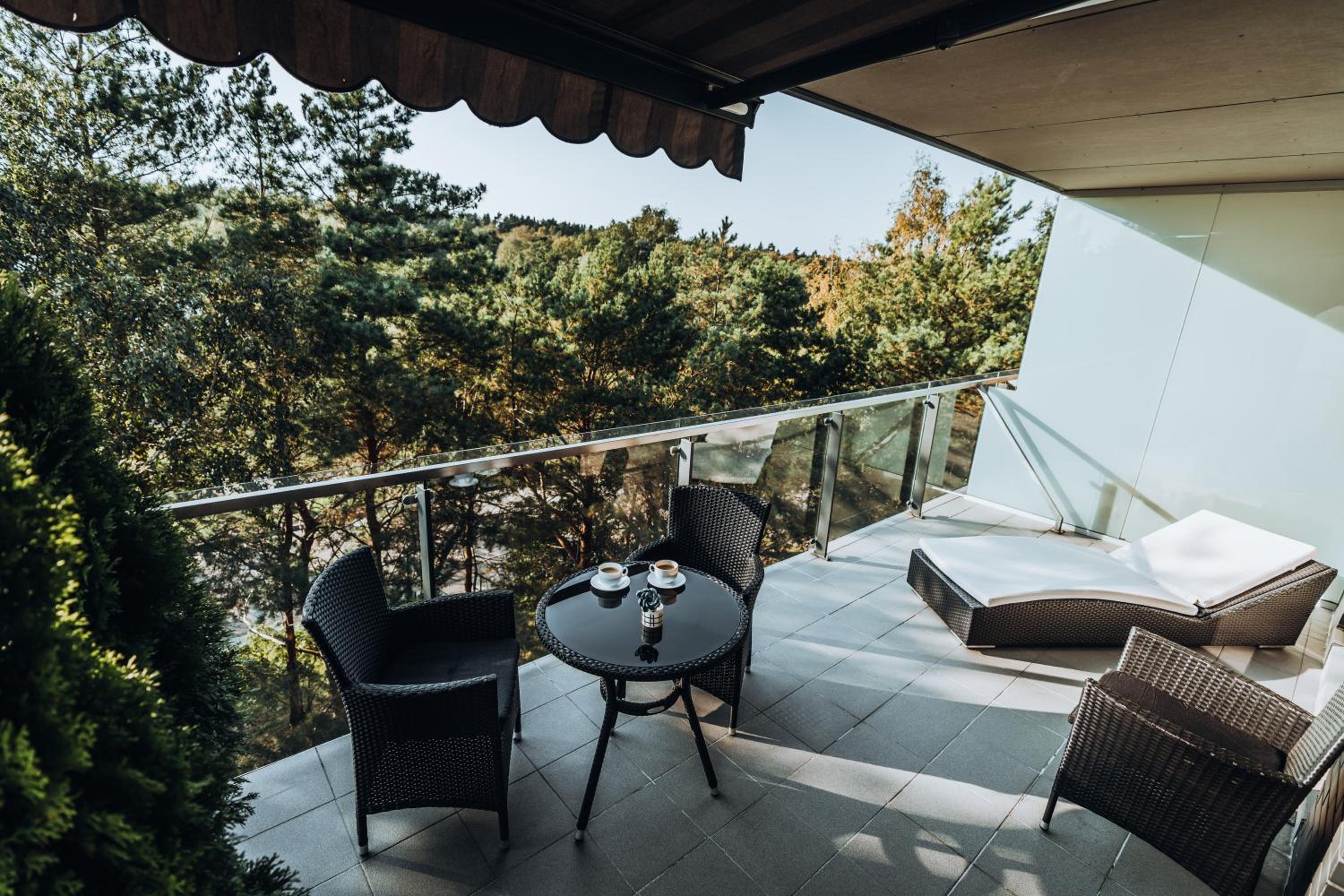 Vanagupės terasa - apartamentai prie jūros Palangoje view 2