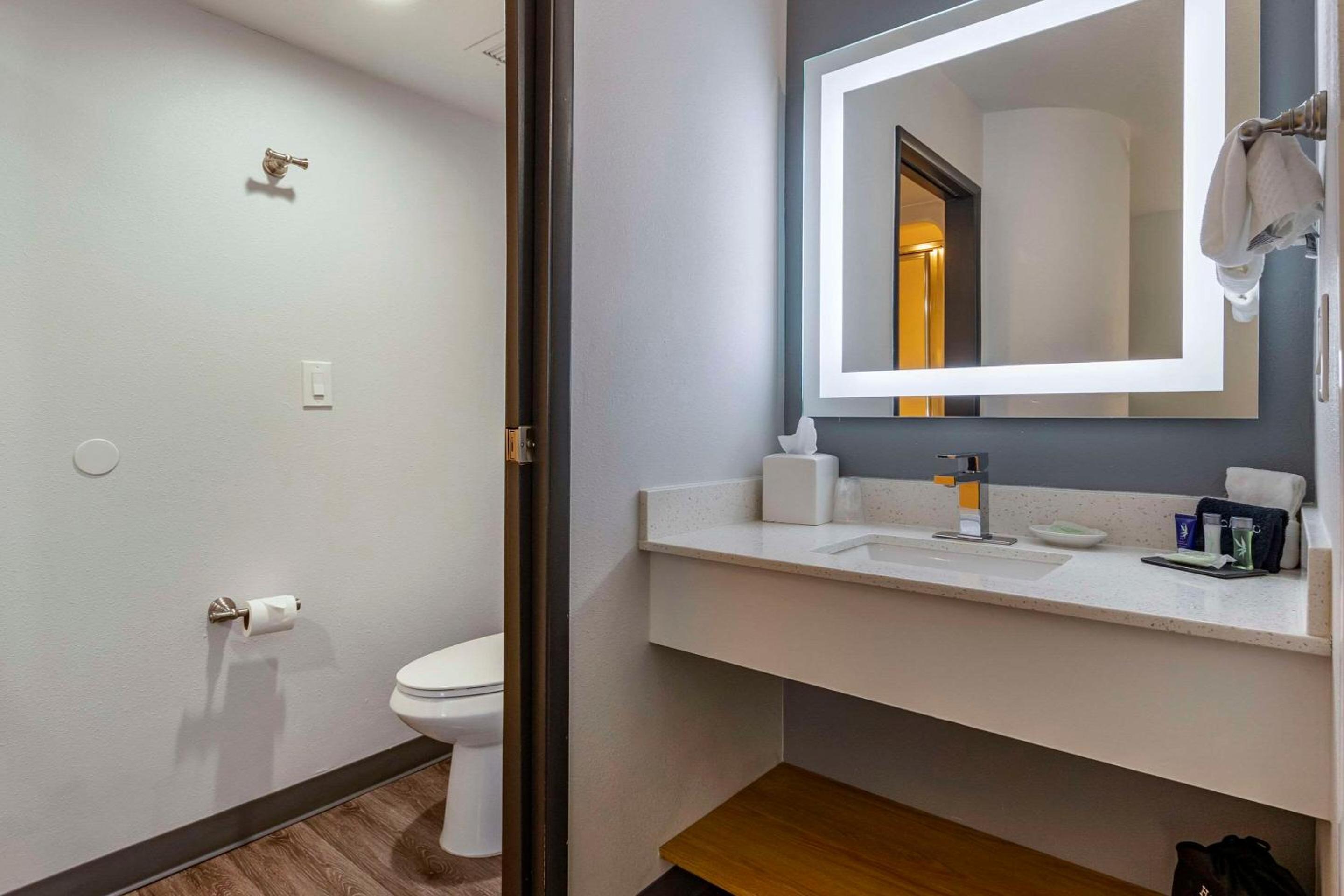 Sleep Inn  Suites - Property Image 11