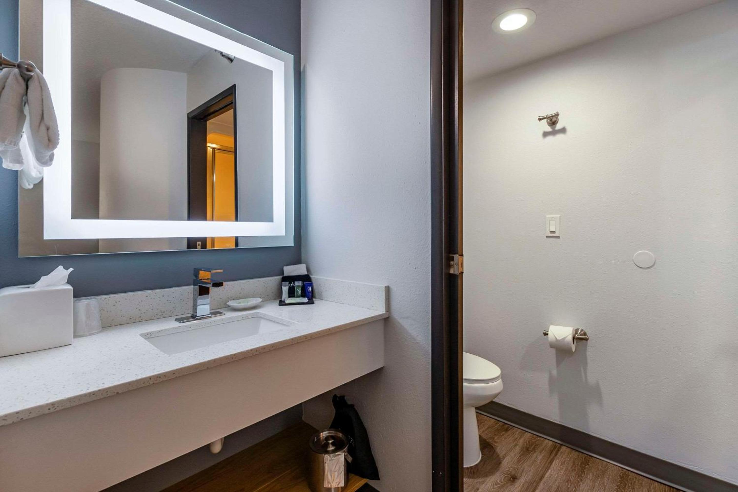 Sleep Inn  Suites - Property Image 12