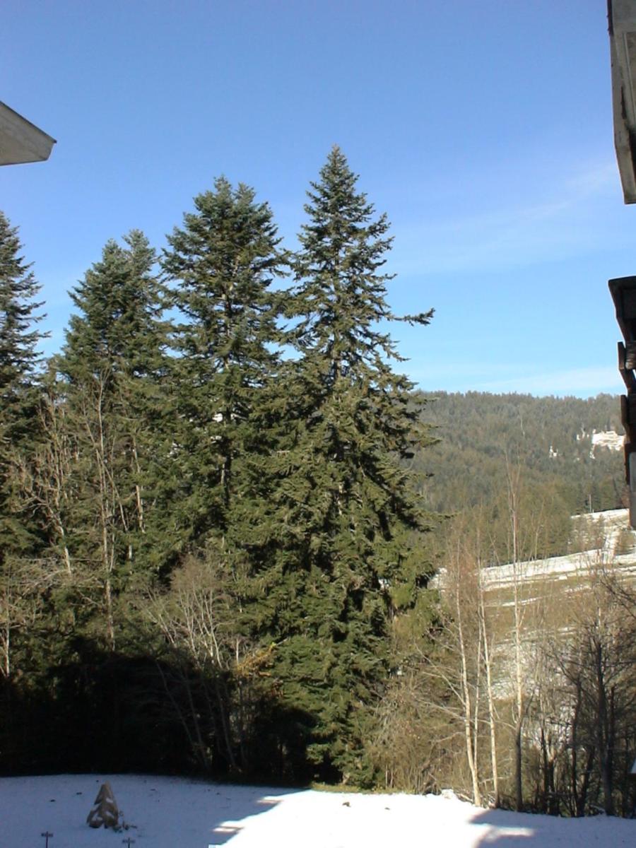 Relax aux Paccots : été comme hiver