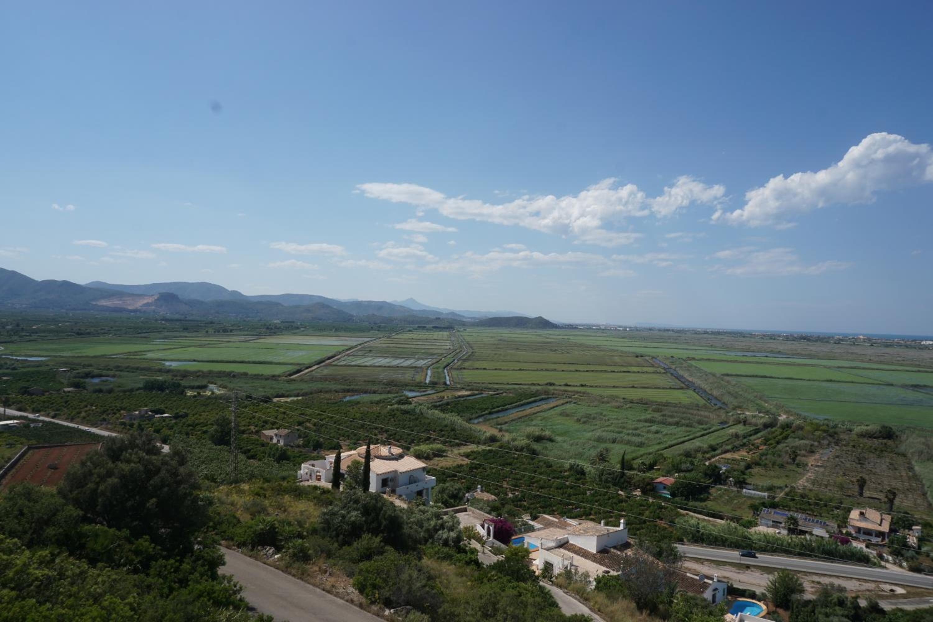 Los Limoneros view 5
