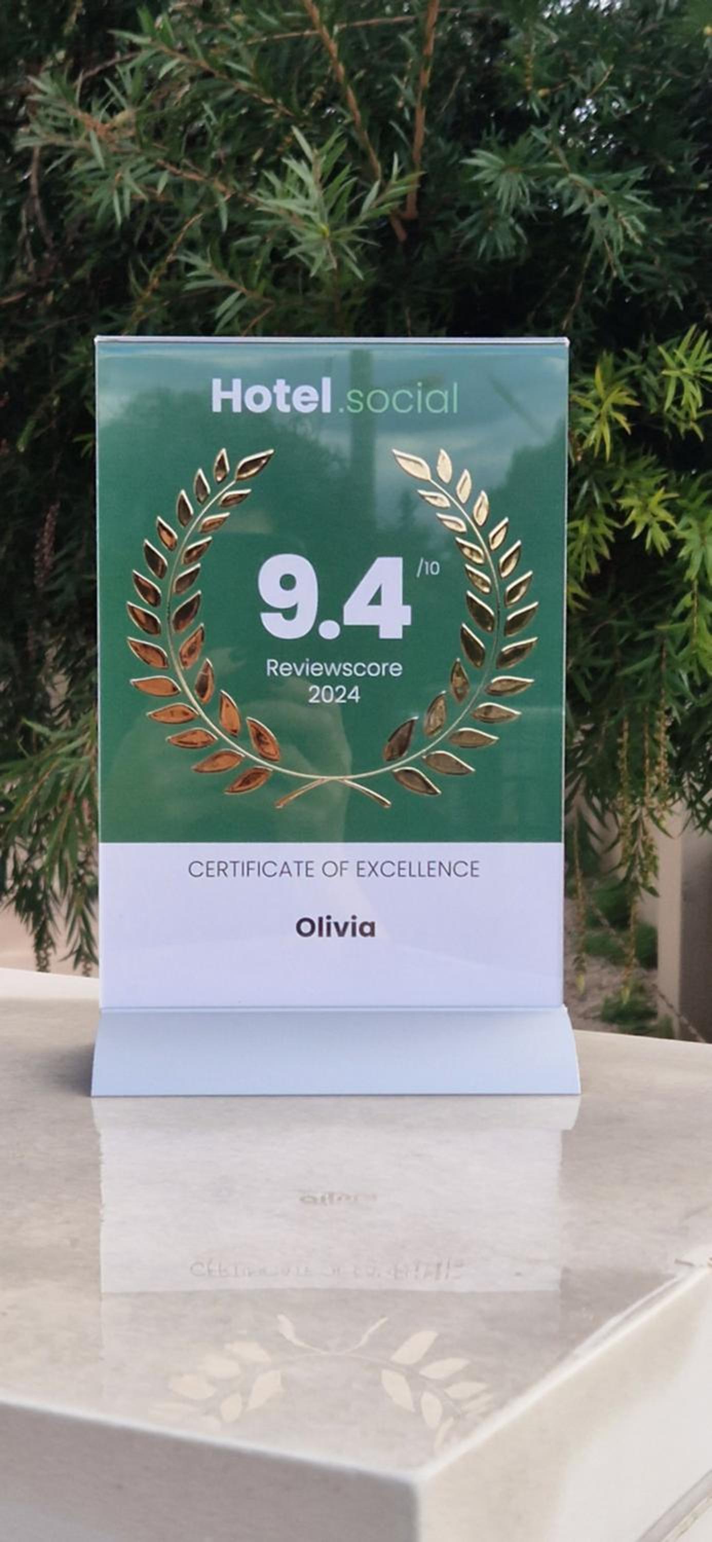 Olivia view 2