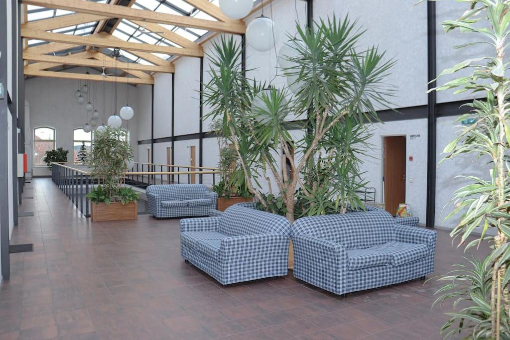 Loft Kalamaja