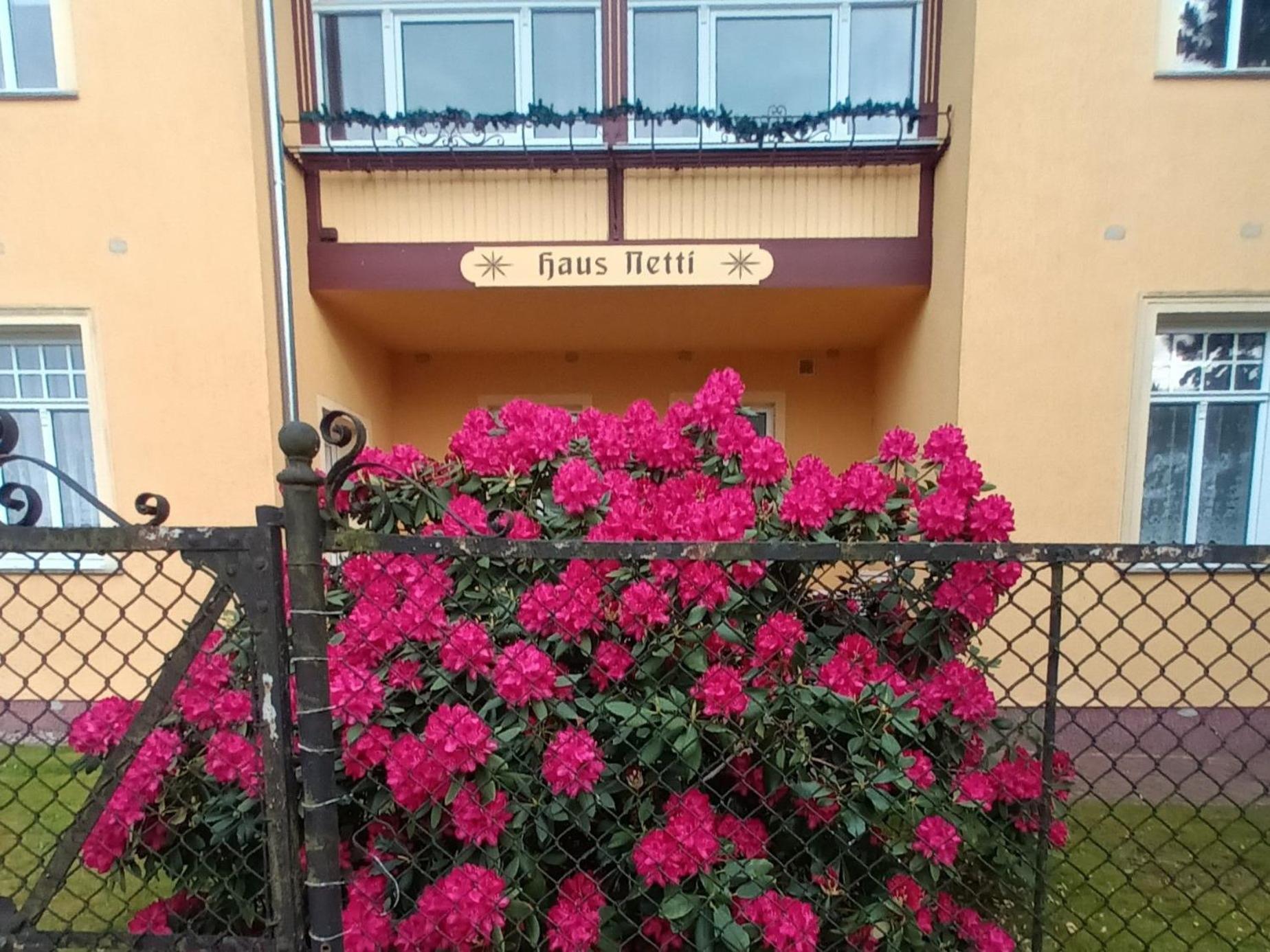 KOS - Haus Netti