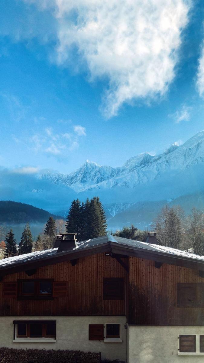Les Houches Vacations - Chalet Vinales - Property Image 5