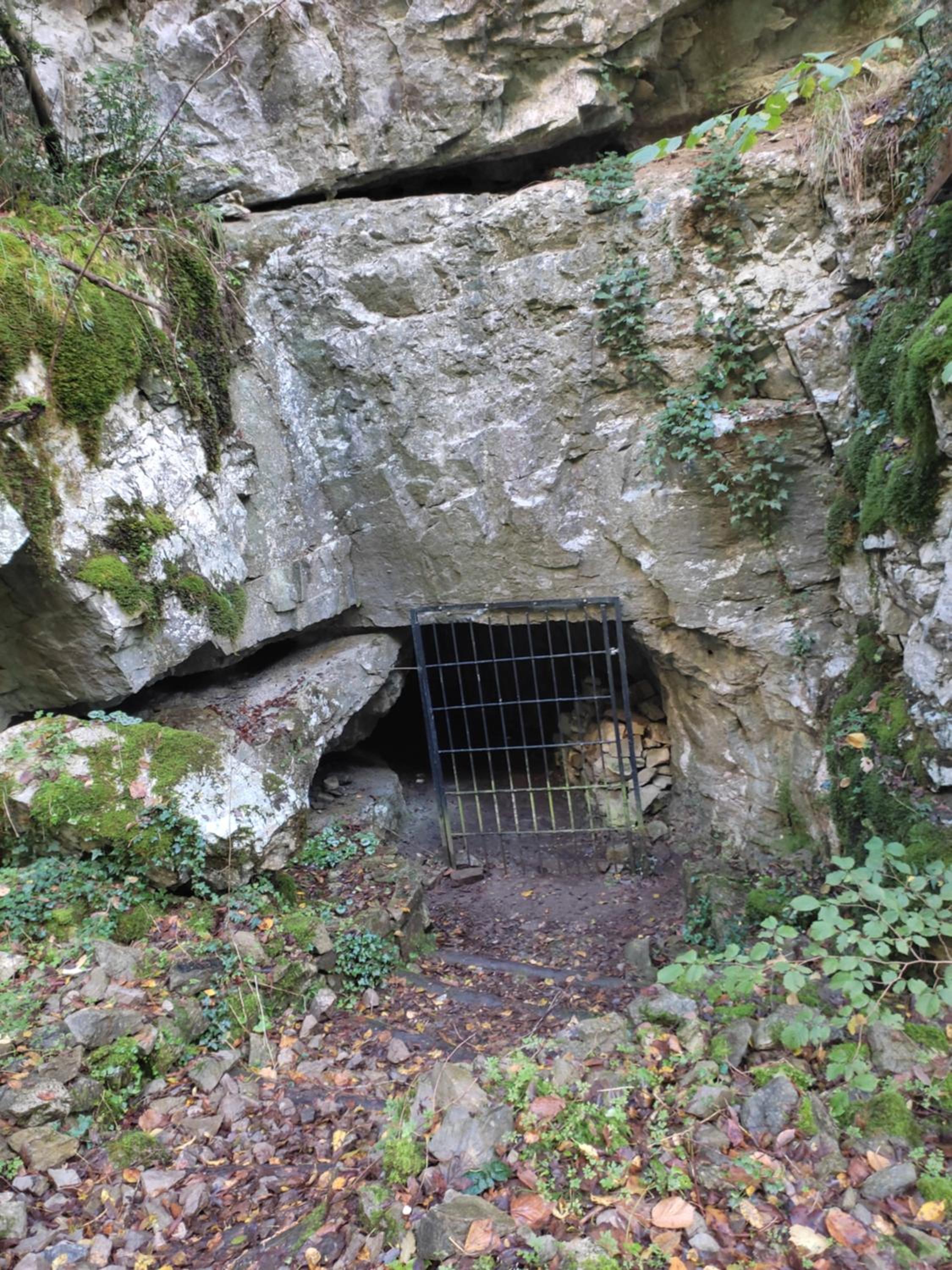 Photo 19
