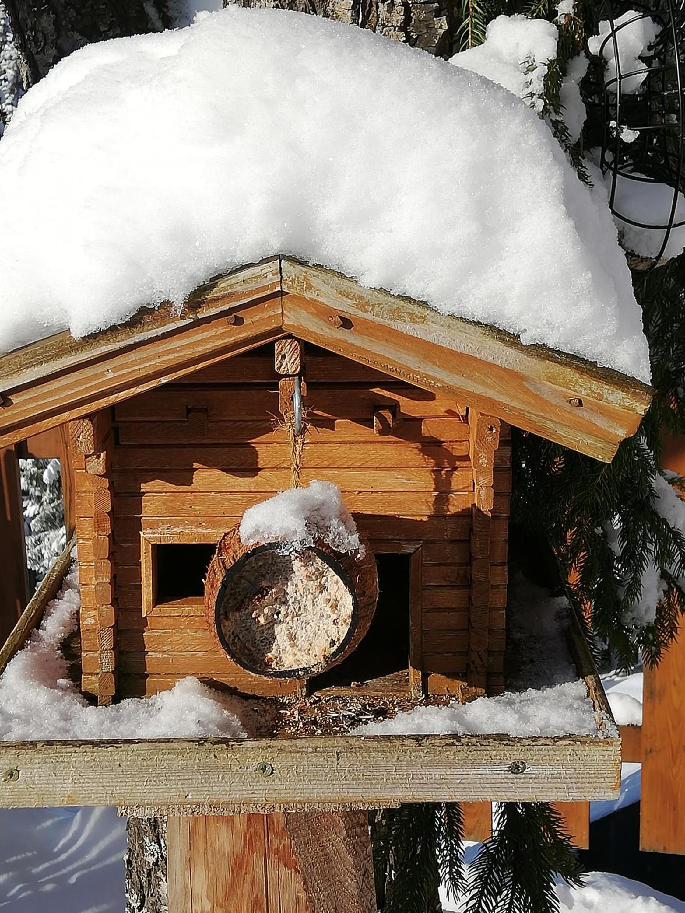 Bauernhof Bachgut