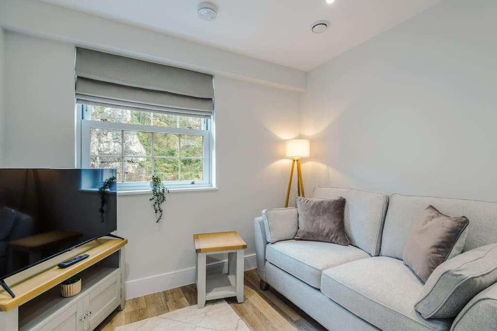 Rock Mill - Deluxe 1-Bedroom Apartments view 4