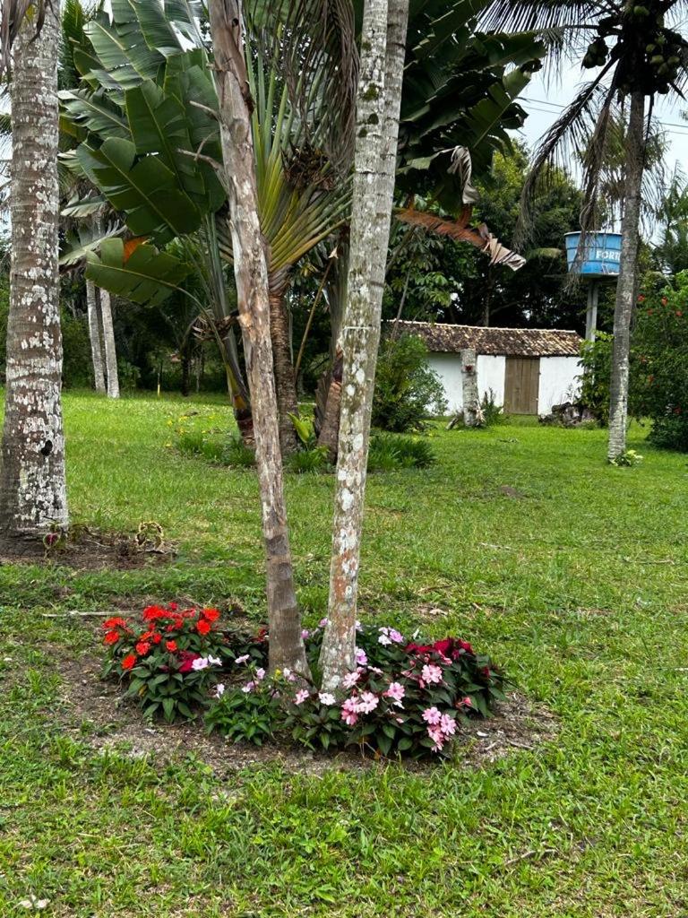 Sítio com piscina em Trancoso