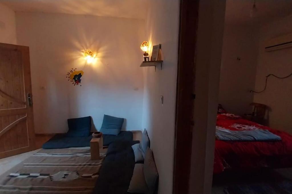 AMFIBIANHouse