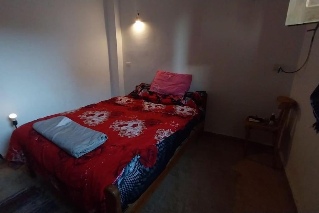 AMFIBIANHouse