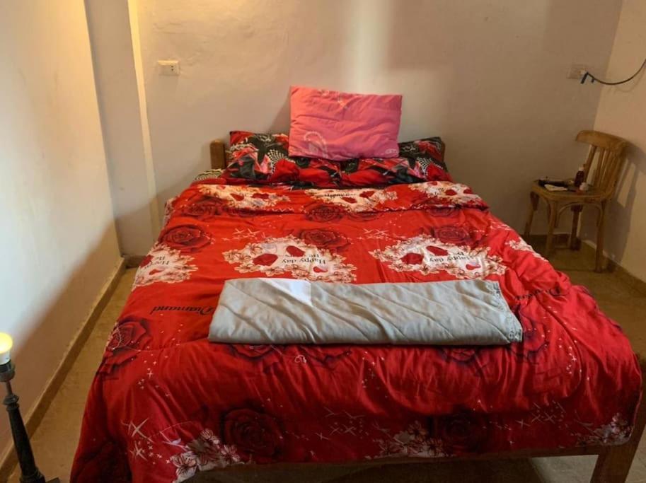 AMFIBIANHouse