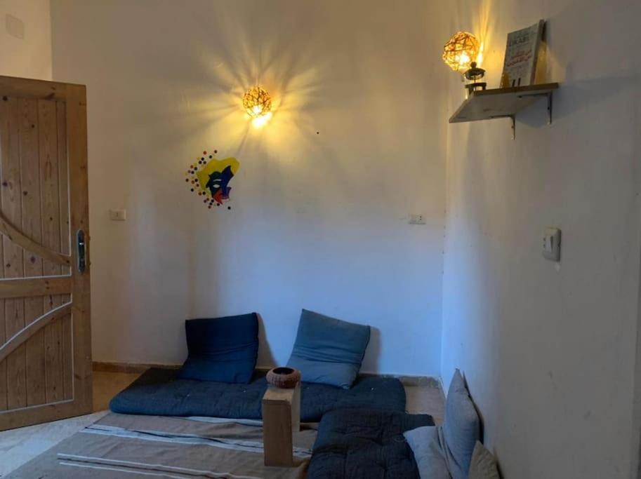 AMFIBIANHouse
