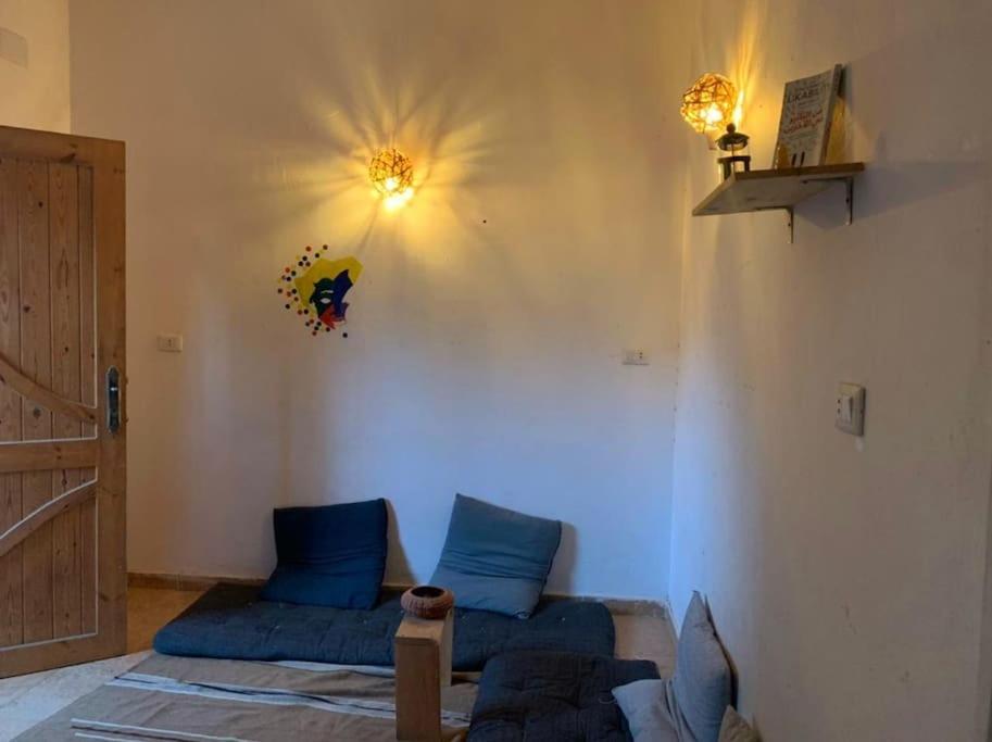 AMFIBIANHouse