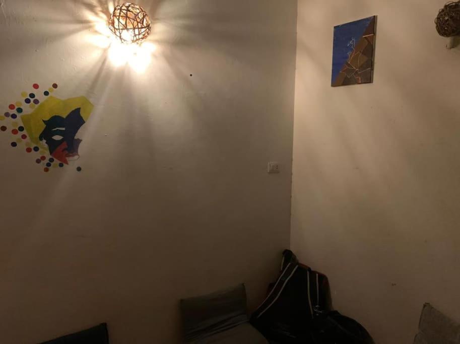 AMFIBIANHouse