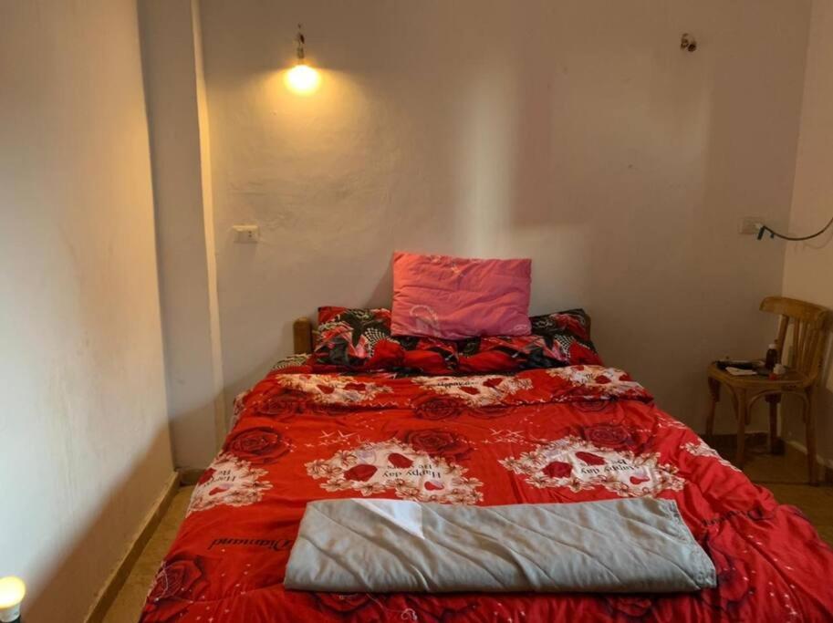 AMFIBIANHouse