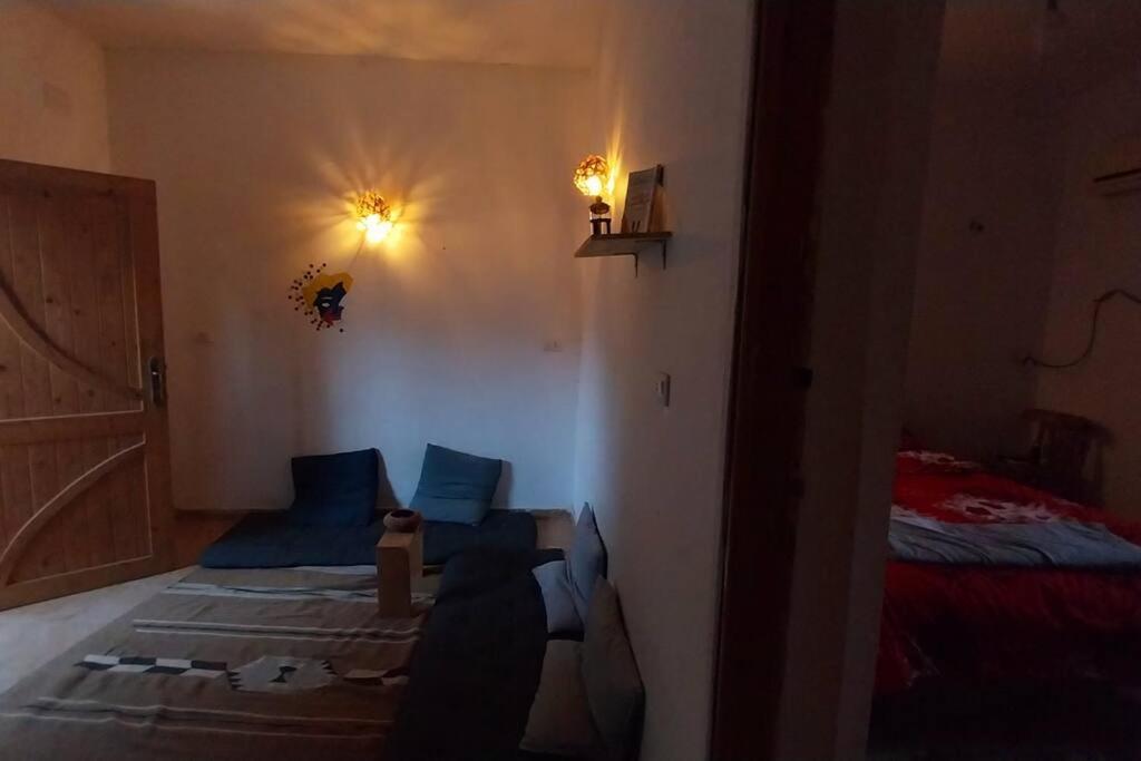 AMFIBIANHouse