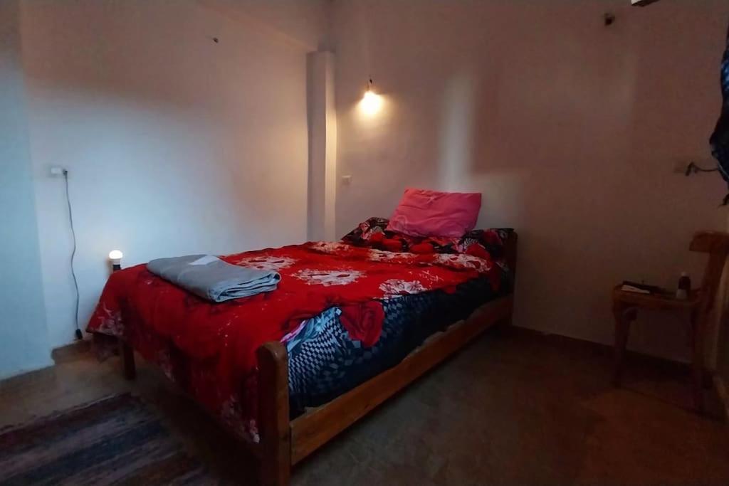 AMFIBIANHouse