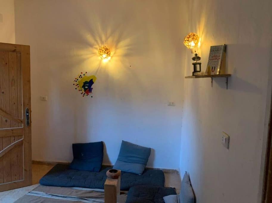 AMFIBIANHouse