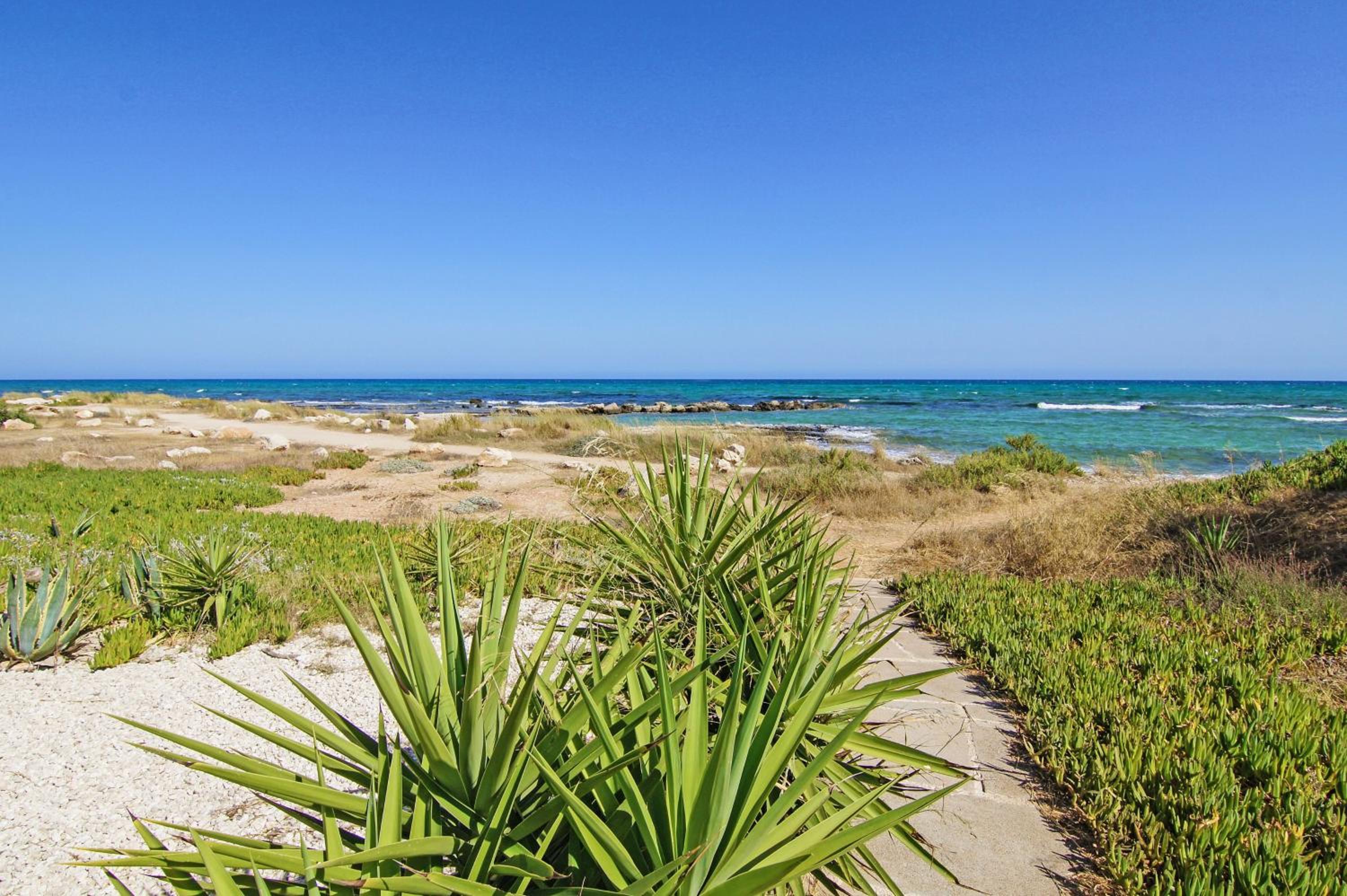 Villa Basil - 50m from Med Sea